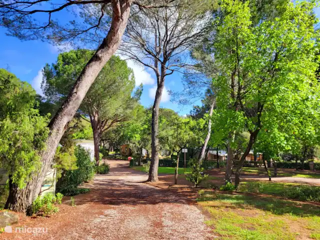 Mobil-home Lei Suves **** | France, Côte d'Azur, Roquebrune-sur-Argens - mobil-home Une impression des allées vertes de Leï Suves
