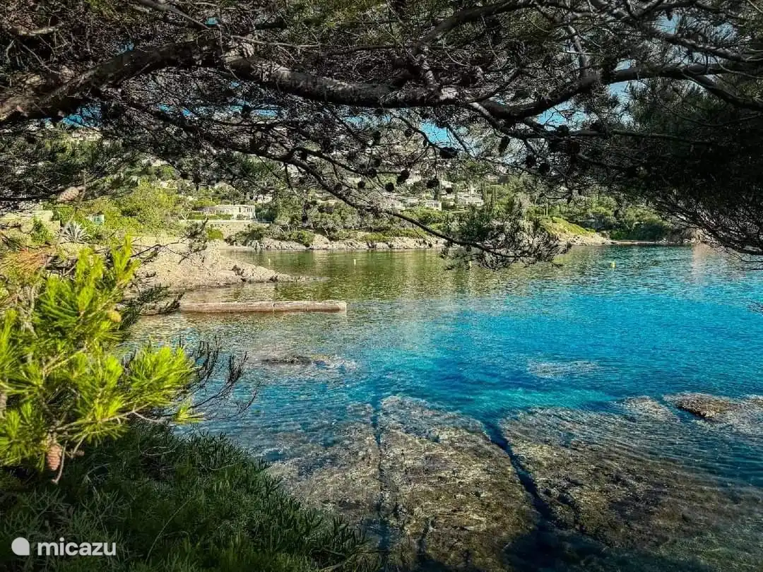 Schönheit in ihrer reinsten Form. 