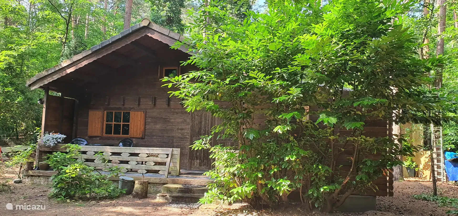 cabaña de madera, Tielen, Amberes, Bélgica - La cabaña del bosque