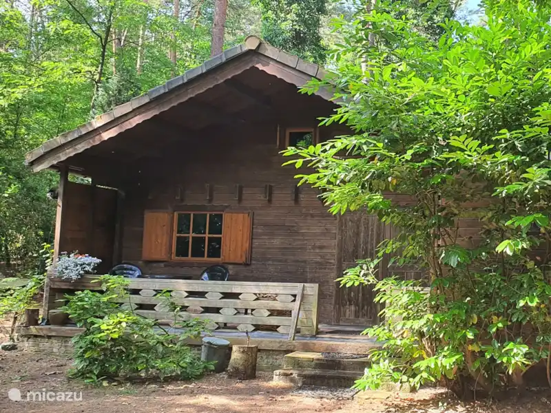 La cabaña del bosque en Bélgica, Amberes, Lille - Cabaña de madera La cabaña del bosque en Bélgica, Amberes, Lille - Cabaña de madera