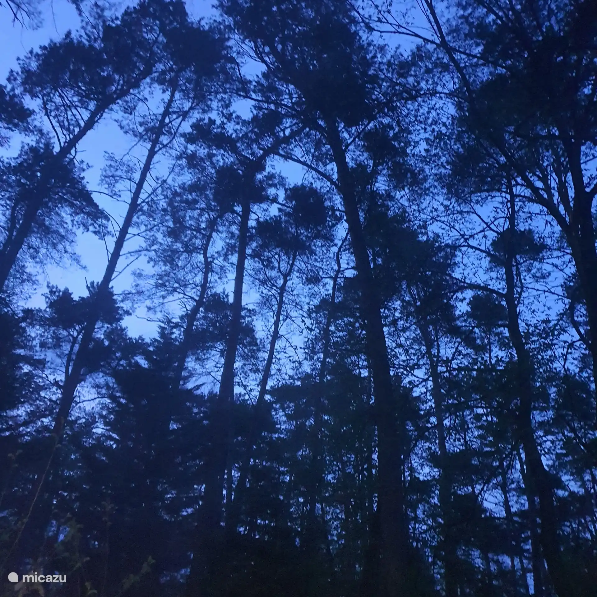 Al caer la noche se puede disfrutar de la observación de las estrellas. 