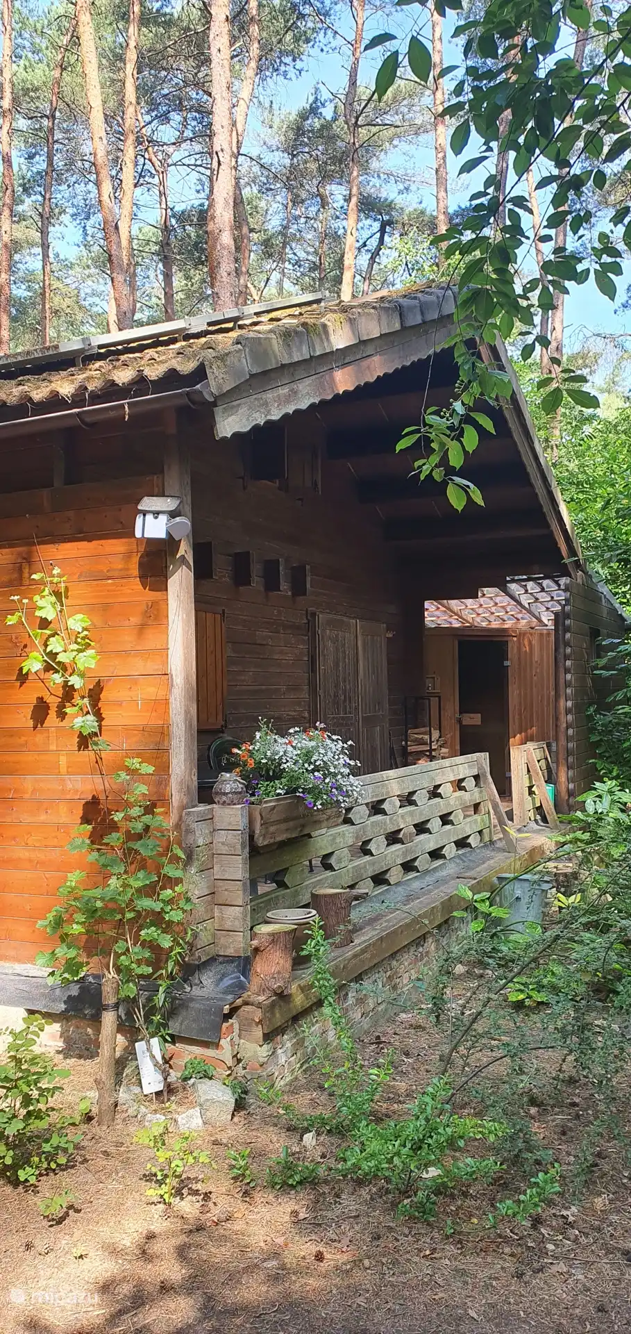 Vista lateral Refugio del bosque