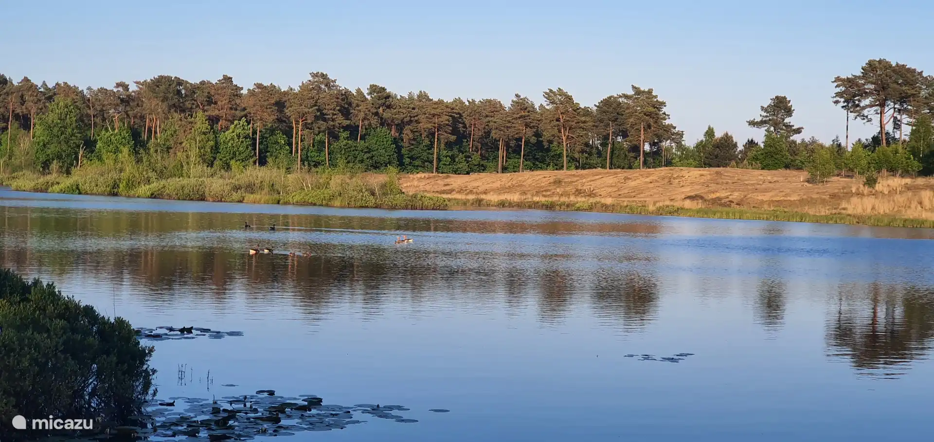 El Agua Negra a 5 minutos andando de la casa. Caldo de cultivo para muchas aves acuáticas y un oasis de paz.