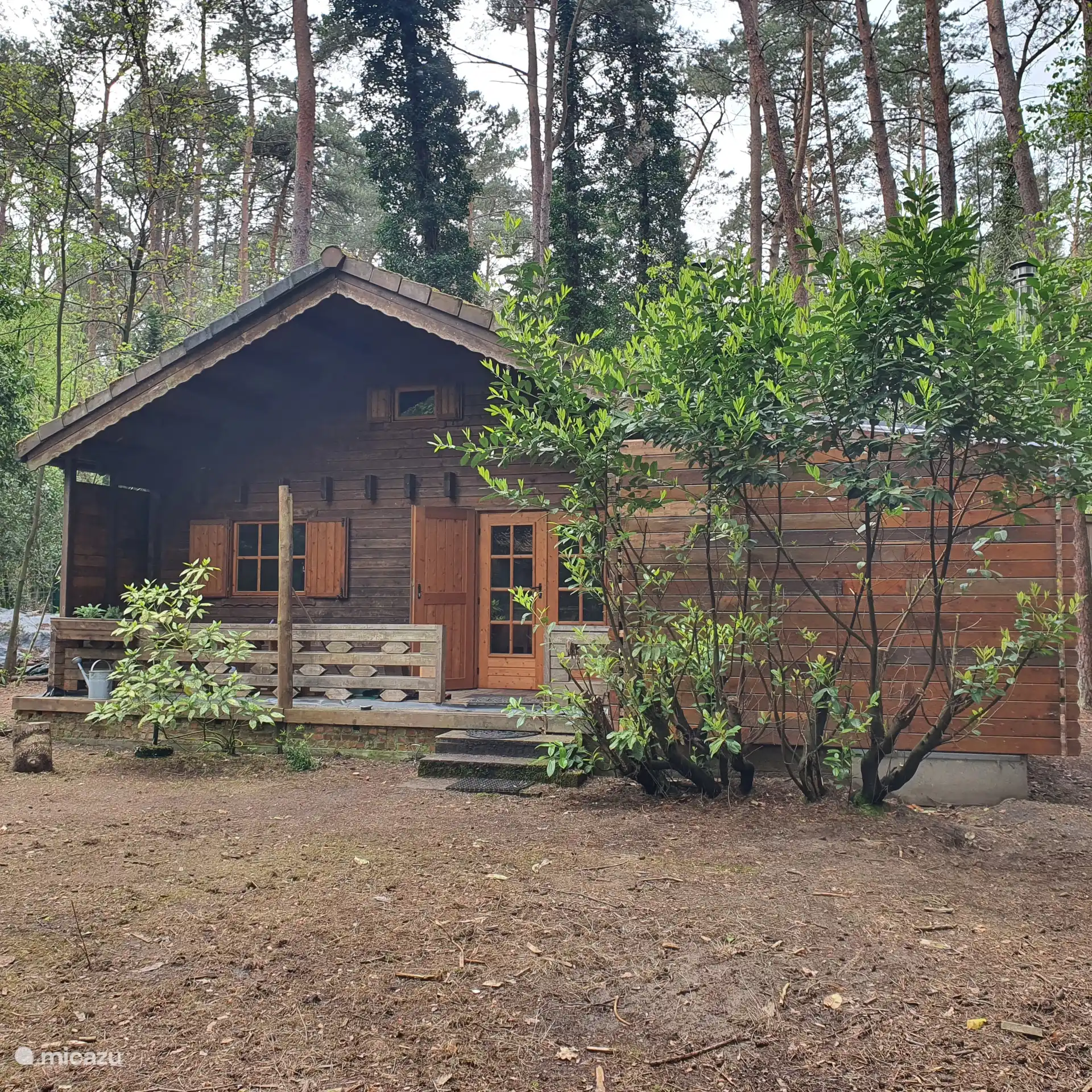 La cabaña del bosque con la sauna adjunta a la derecha. La ventana en la parte superior es la ventana cerca del desván para dormir.