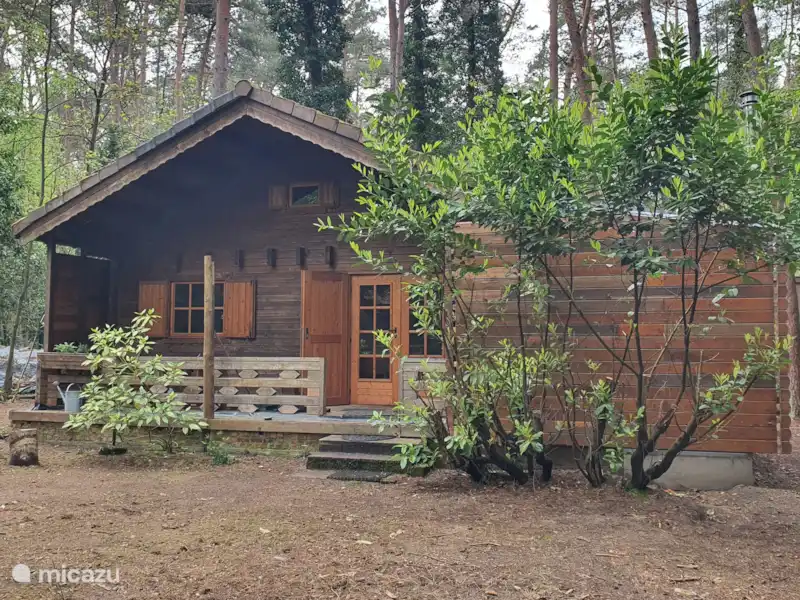 La cabaña del bosque en Bélgica, Amberes, Lille - Cabaña de madera La cabaña del bosque en Bélgica, Amberes, Lille - Cabaña de madera