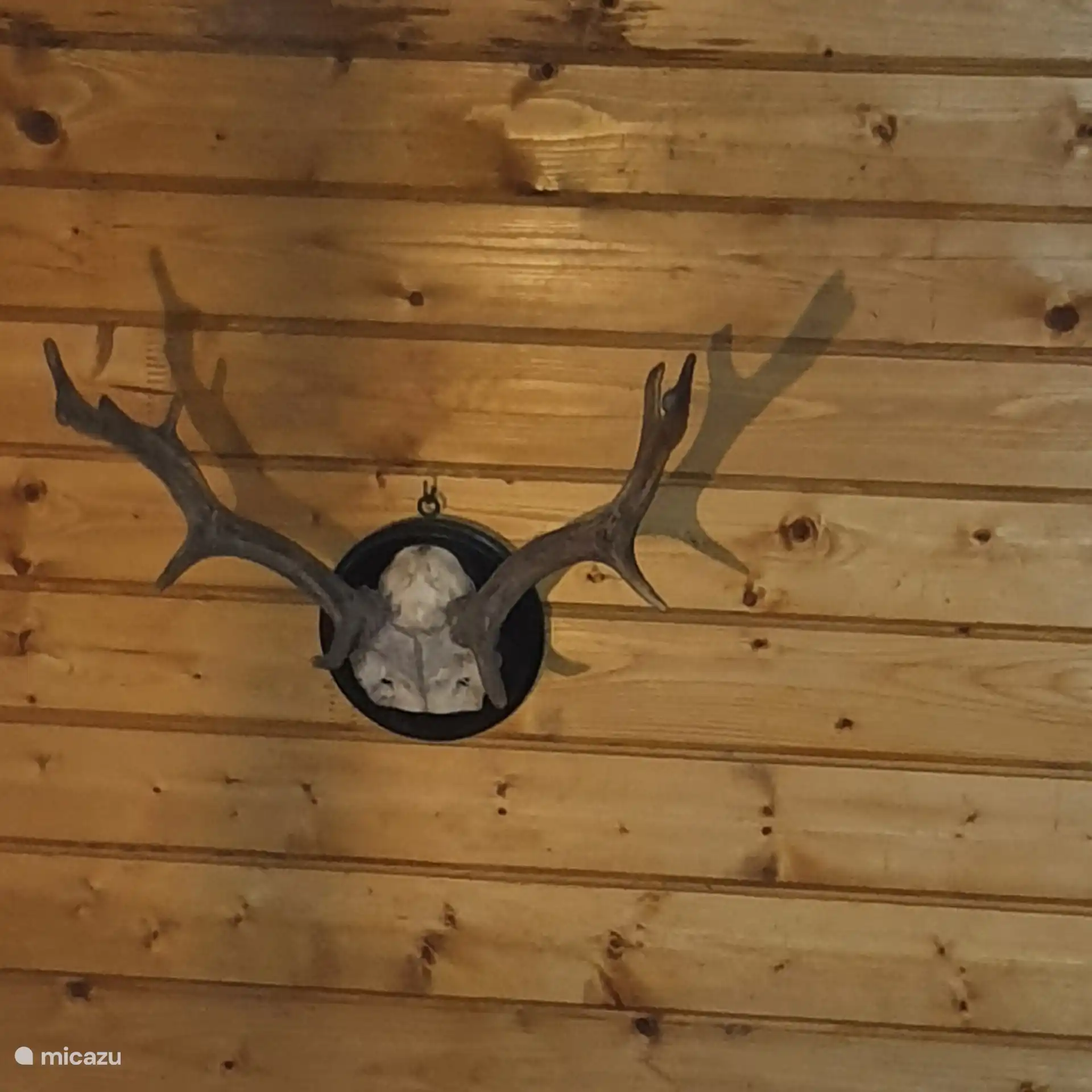 Detalle sobre la puerta