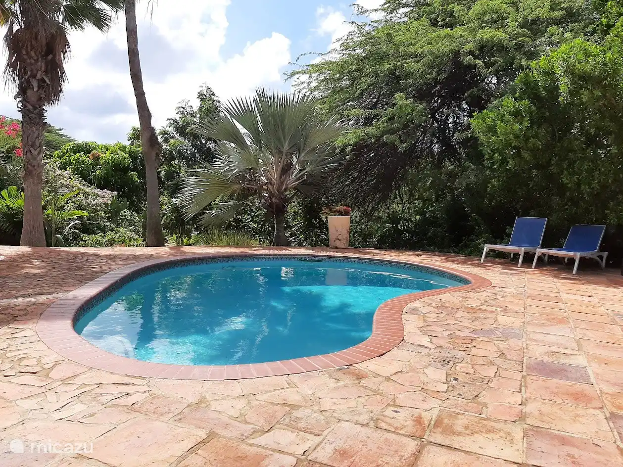 Schwimmbad mit tropischem Garten