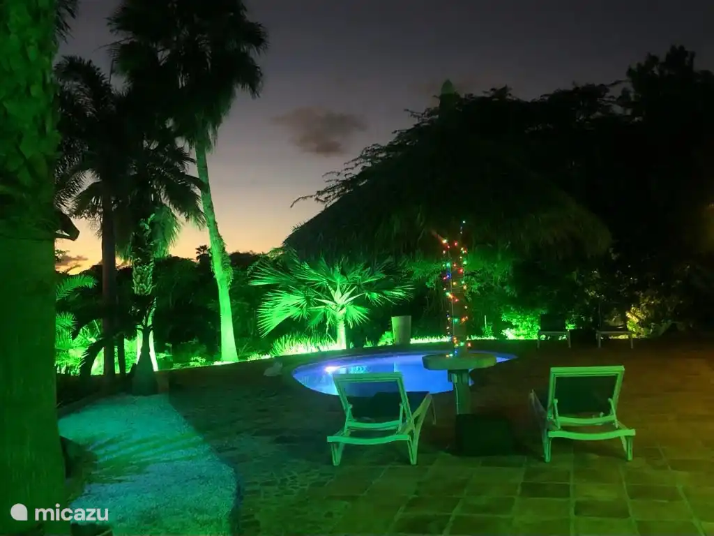 Reich beleuchteter tropischer Garten