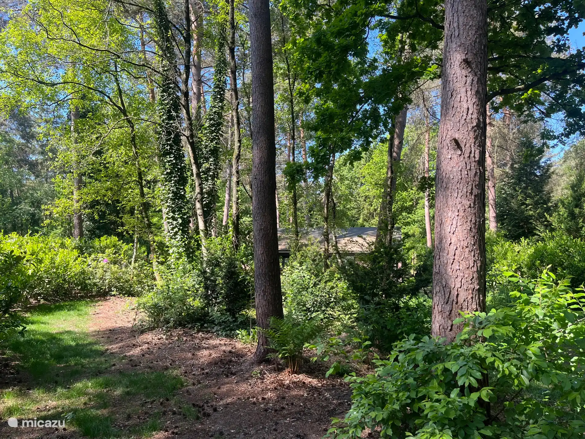 Door grote tuin heb je privacy!