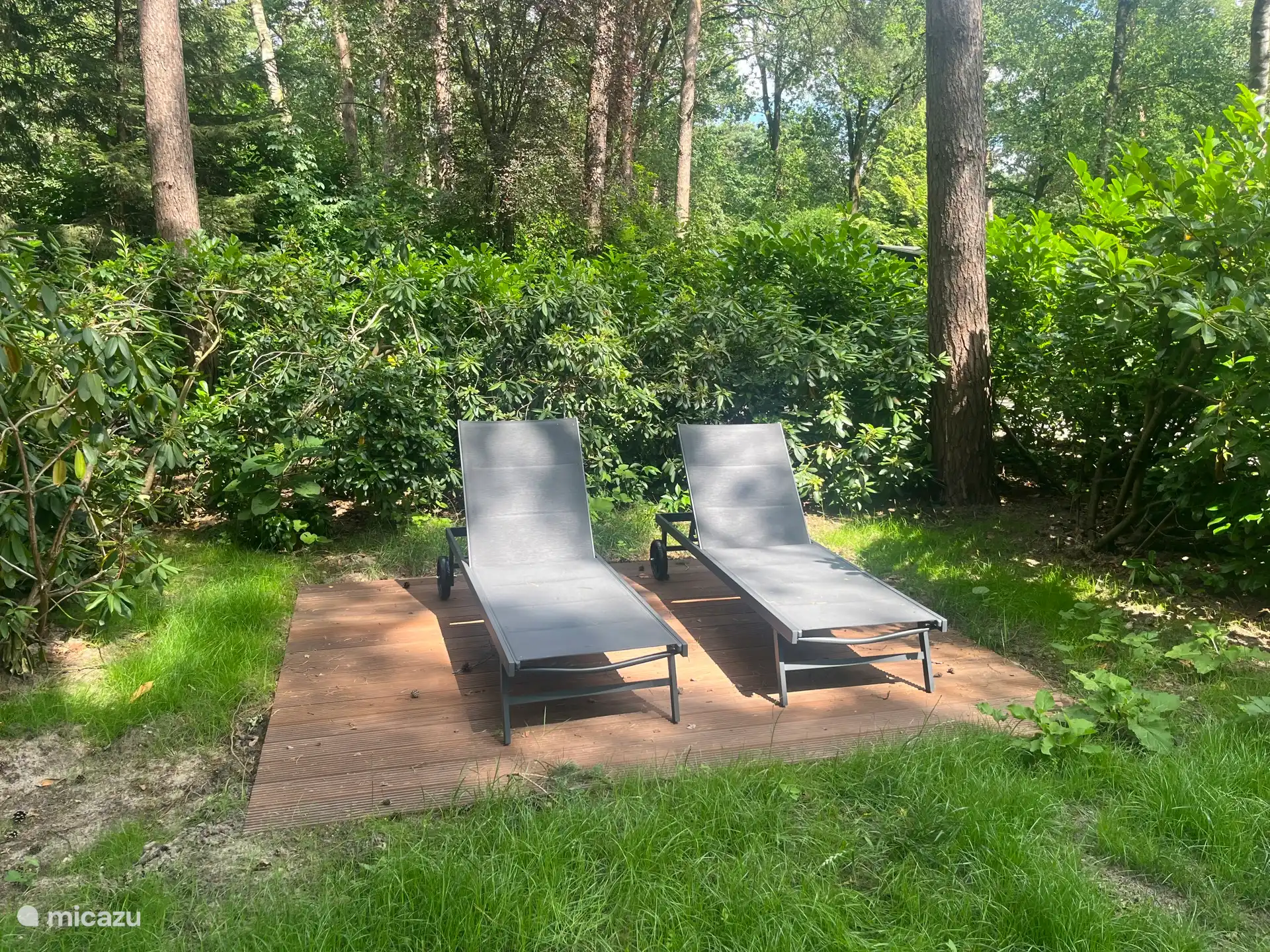 Einde dag zon in hoek van de tuin, omringd door rododendrons