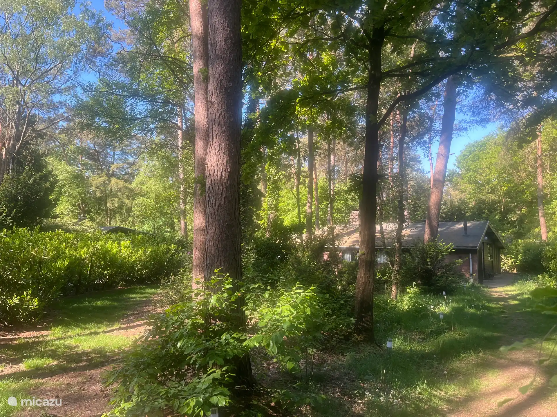 bostuin zodat je in rust vakantie hebt