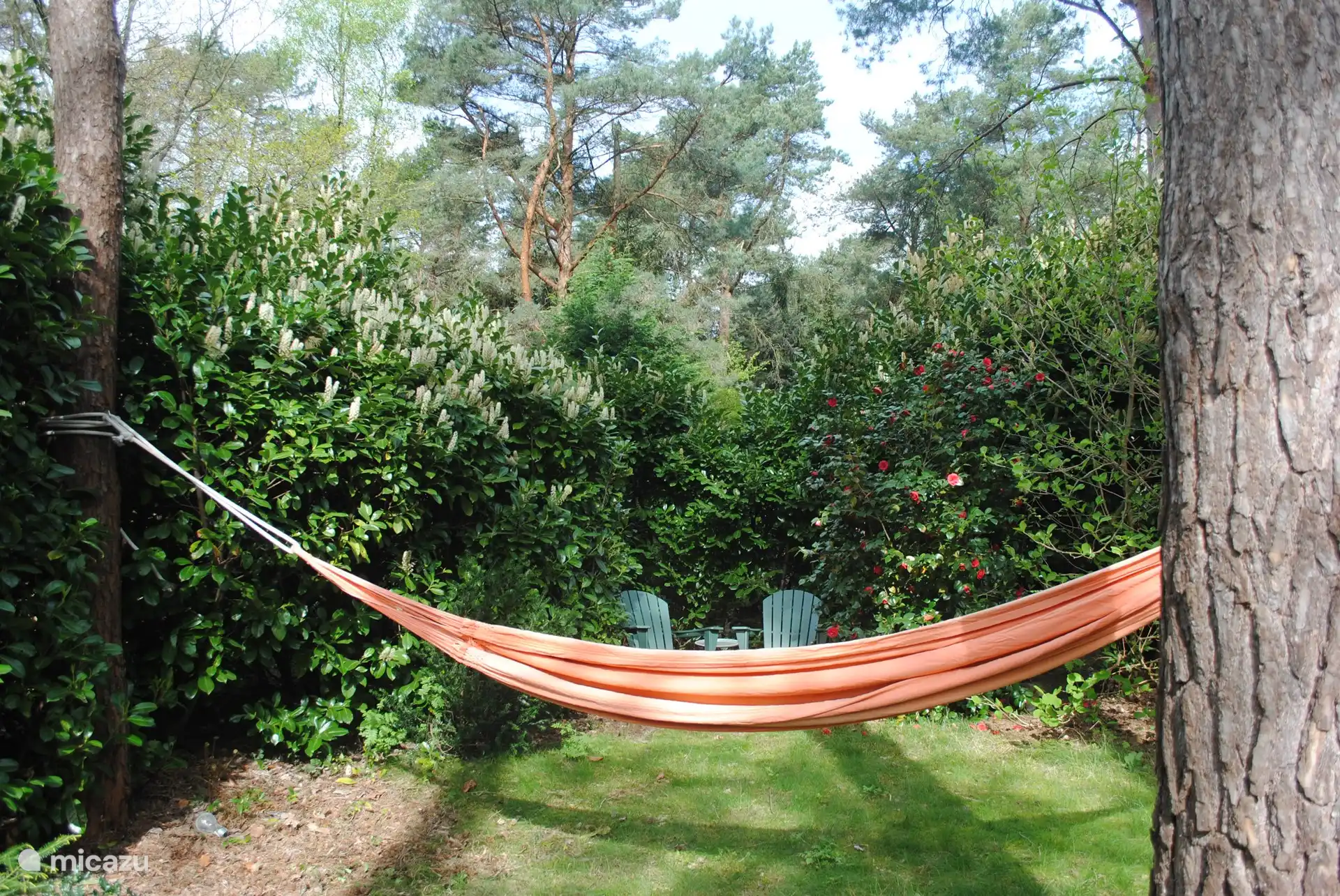 Niets is lekkerder dan luieren in een ruime en stevige hangmat onder de bomen