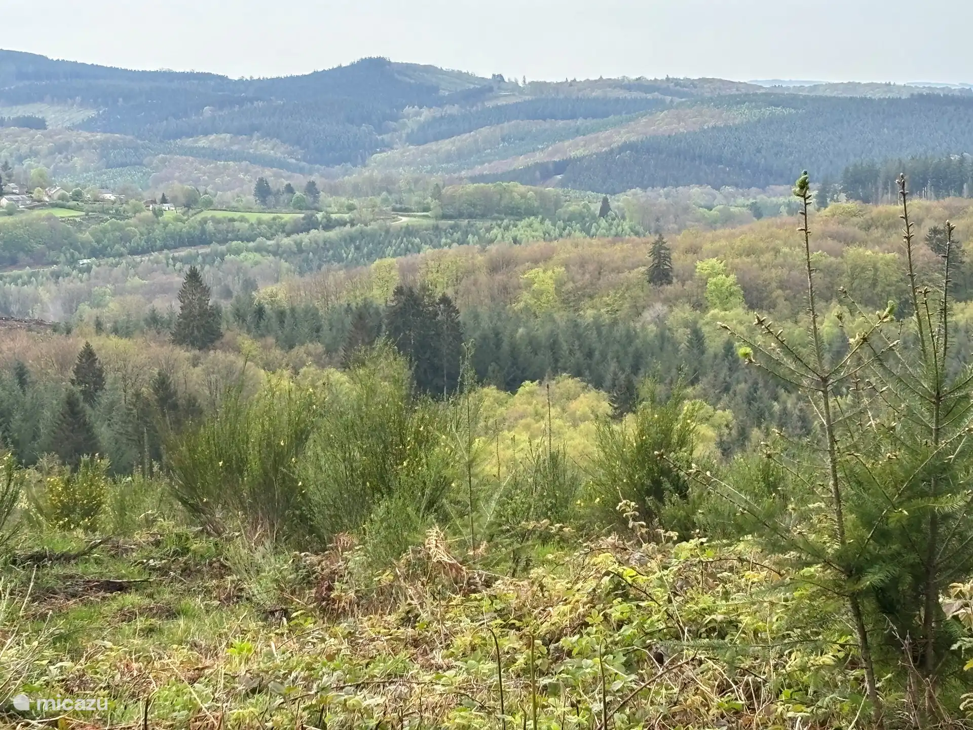 Uitzicht bij een wandeling in het bos bij de Gite
