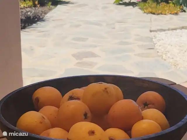Casa Pajaros avec PISCINE & JACUZZI | Espagne, Costa del Sol, Sayalonga - villa Jardin magnifiquement aménagé avec des plantes tropicales et des arbres fruitiers