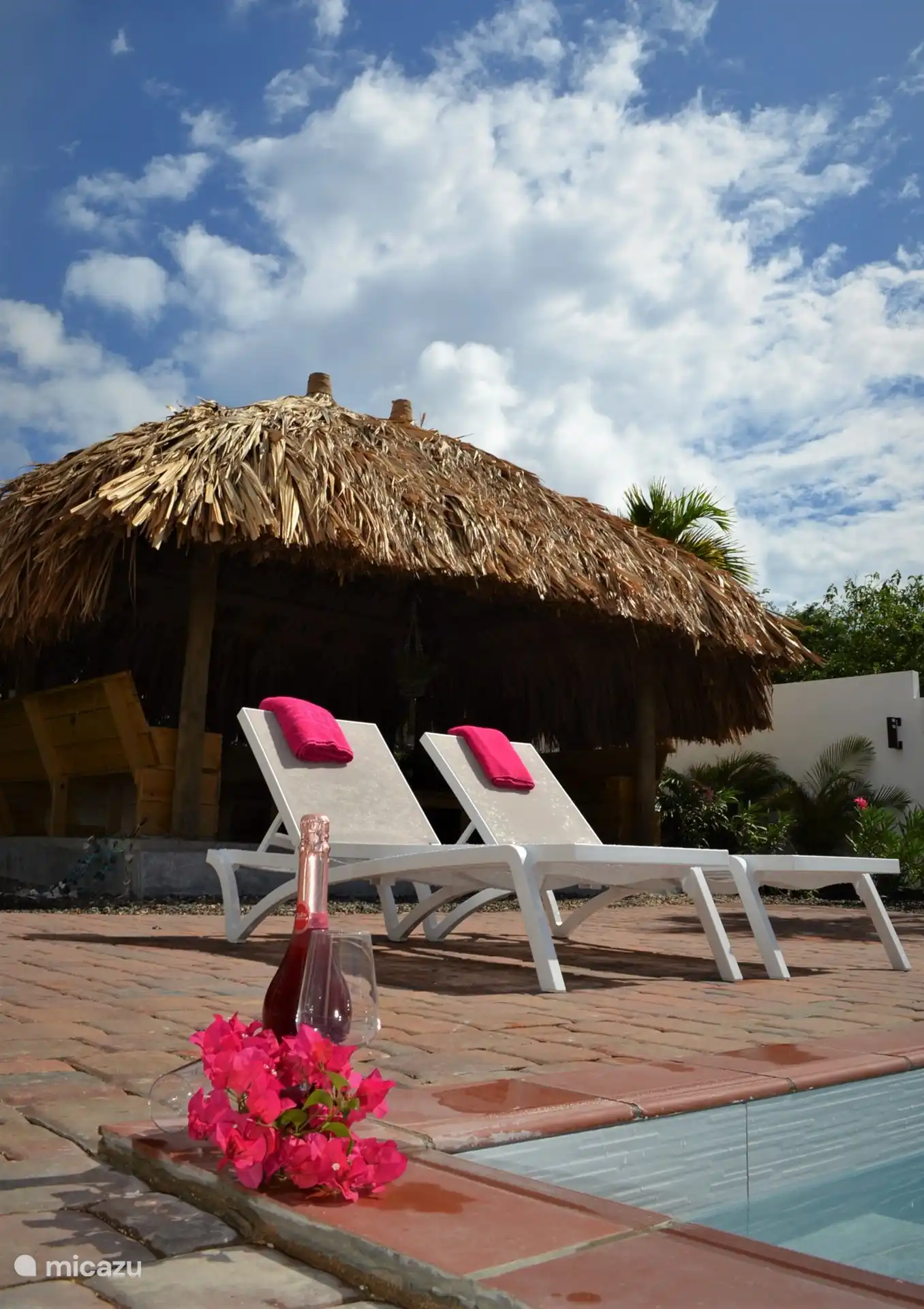 Gemütliche große Palapa