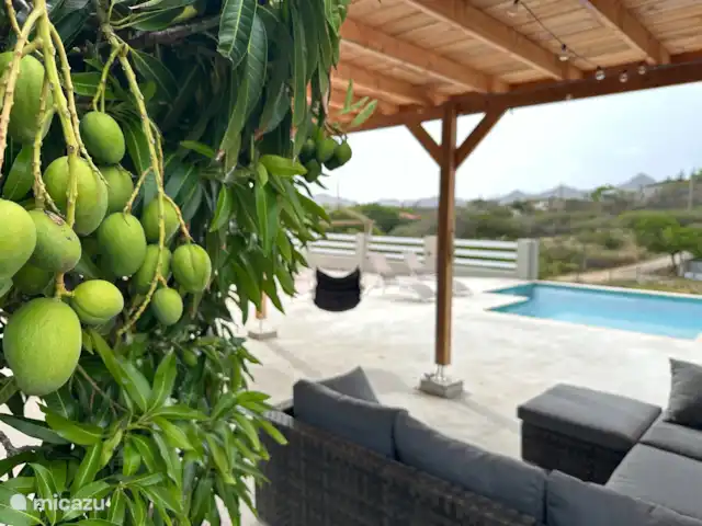Location de vacances Bandabou | Curaçao, Banda Abou (ouest), Jan Donker - maison de vacances Des mangues dans votre propre jardin