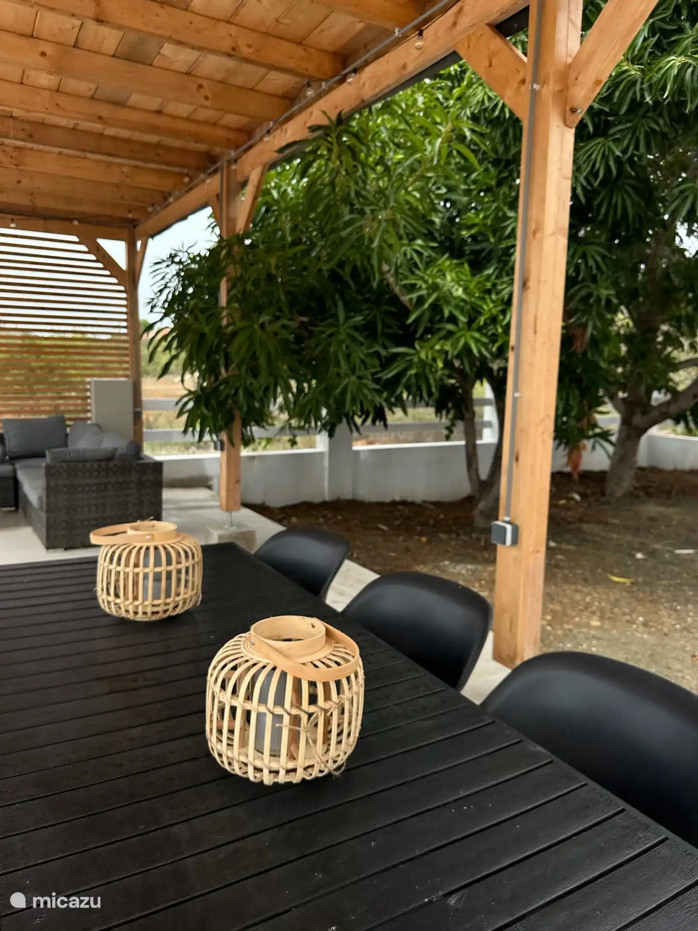 Mangobäume im Garten