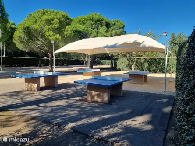Chalet Coco huren in Frankrijk, Côte d´Azur, Roquebrune-sur-Argens - chalet tafeltennis