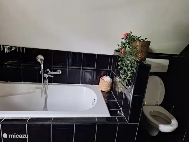 Le joyau de la couronne | Pays-Bas, Gueldre, Epe - villa salle de bain avec toilettes, douche et baignoire