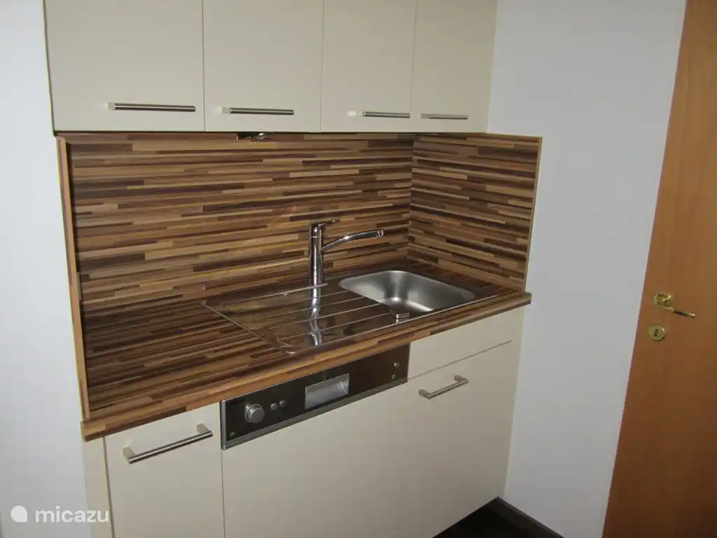 Die "kalte" Teil der Küche mit Geschirrspüler, der Tabletten, dass Sie?