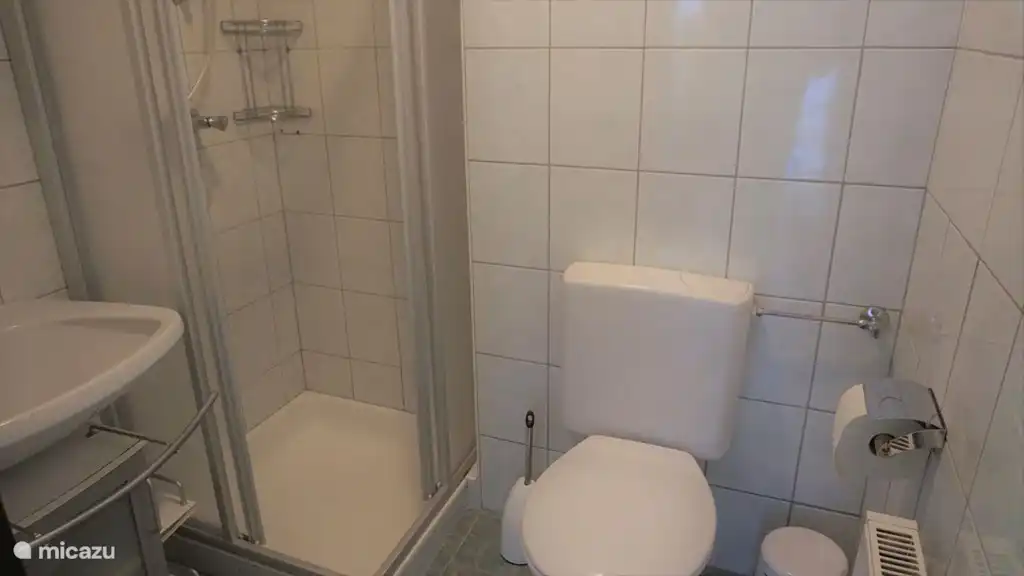 Cuarto de baño con ducha, inodoro y lavabo.