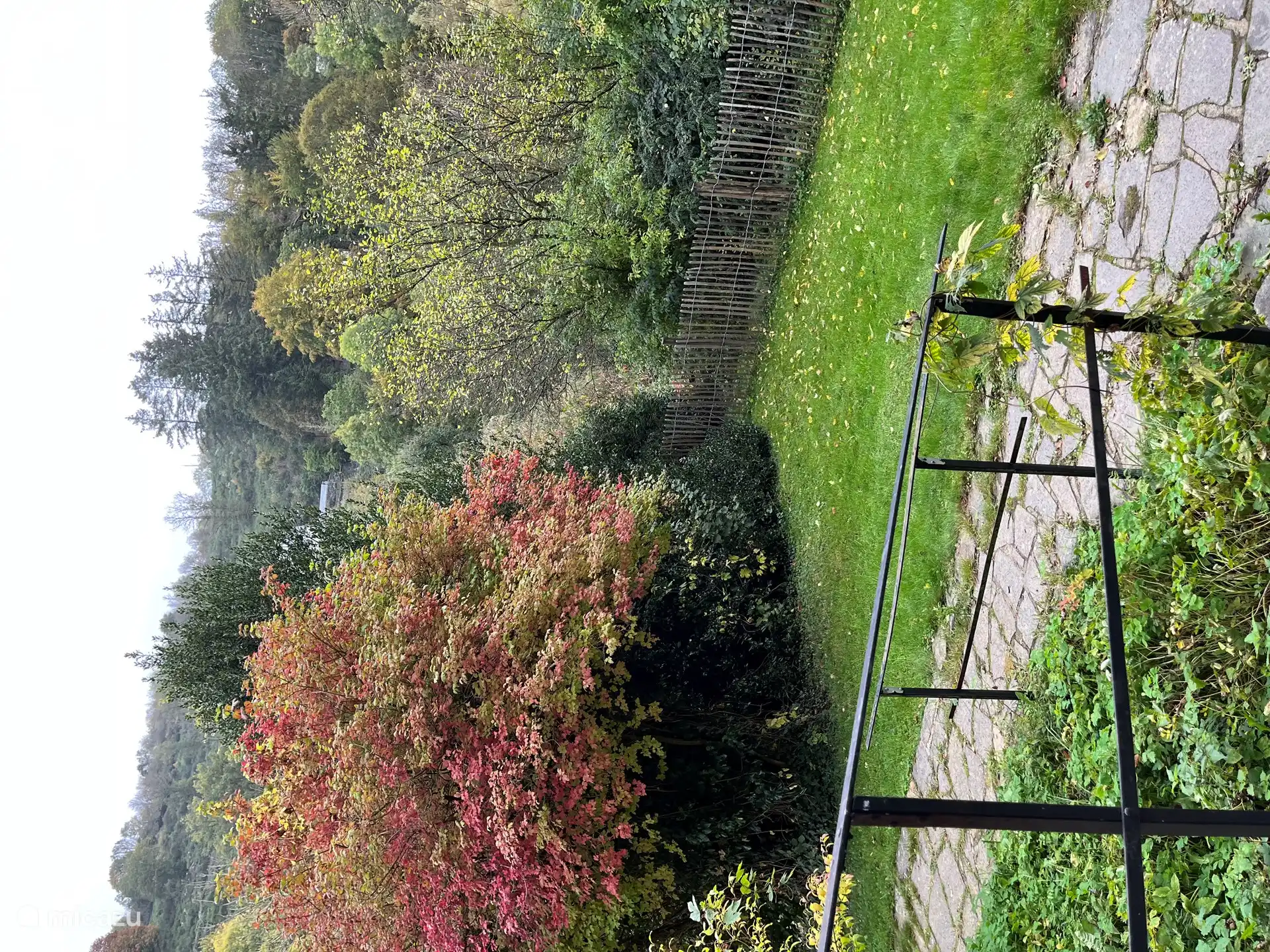 het gazon aan de linkerkant van de woning
