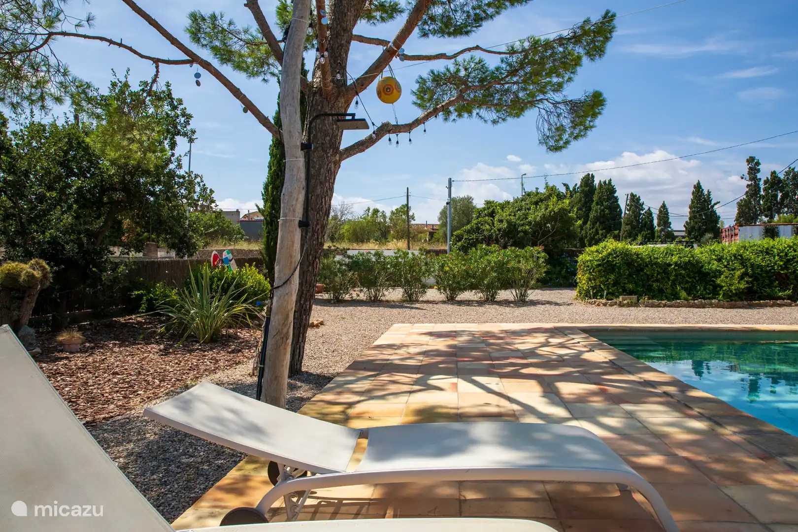 Terrace with sunbeds