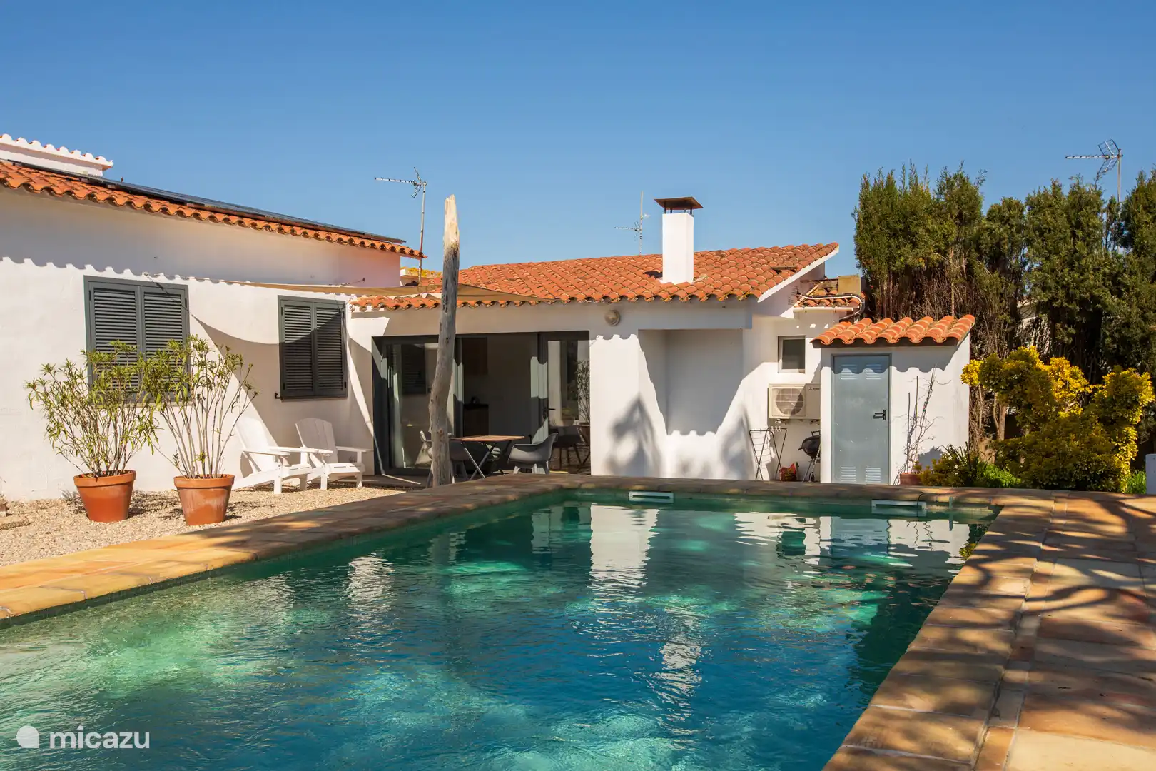 Garden with swimming pool