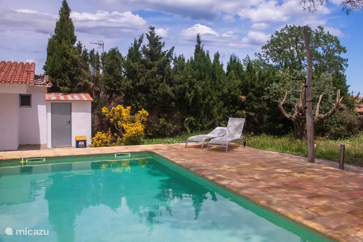 Piscina con amplia terraza y hamacas con privacidad