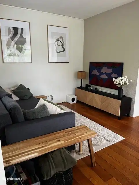 Sitzecke beim Fernseher. Das Sofa ist ein Schlafsofa für 2 Personen.