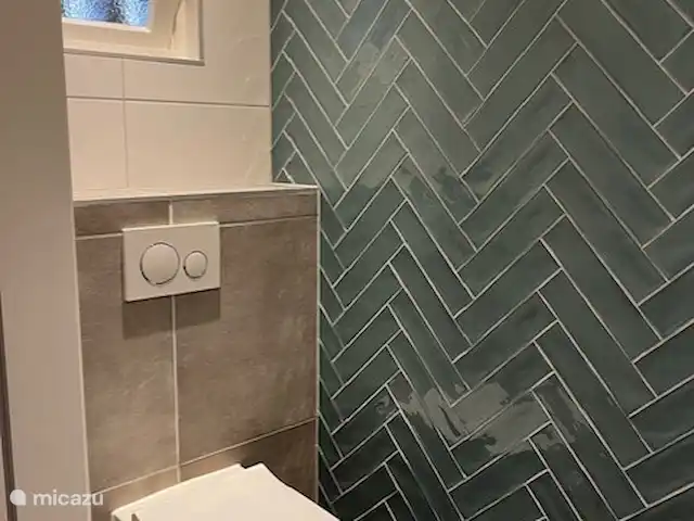 casa de vacaciones Lytse Mar en Países Bajos, Frise, Idskenhuizen - casa vacacional Inodoro nuevo con lavabo