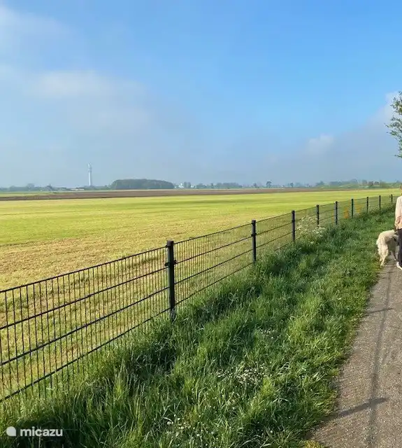 Blick vom Radweg, der vor der Tür verläuft