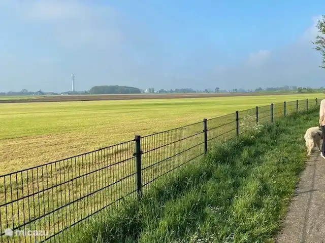 casa de vacaciones Lytse Mar en Países Bajos, Frise, Idskenhuizen - casa vacacional Vista desde el carril bici que discurre por delante de la puerta