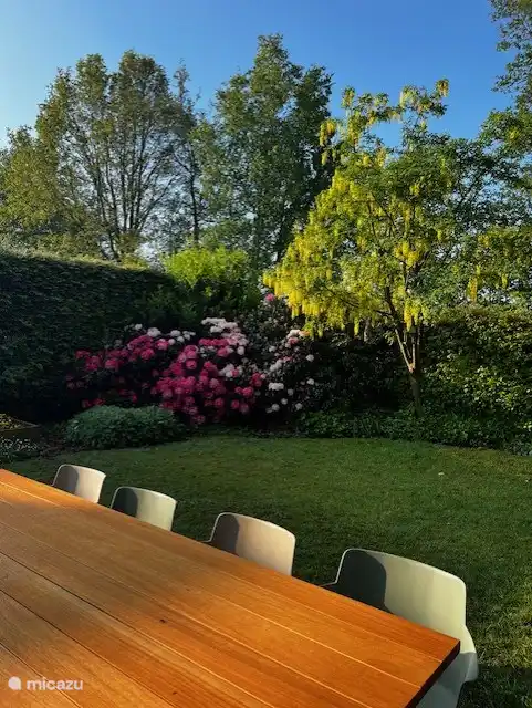 Großzügiger Garten auf der Vorder- und Rückseite