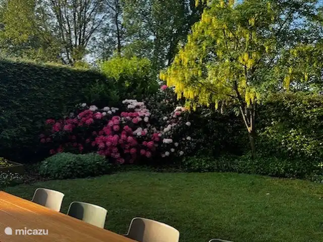 casa de vacaciones Lytse Mar en Países Bajos, Frise, Idskenhuizen - casa vacacional Amplio jardín tanto en la parte delantera como en la trasera