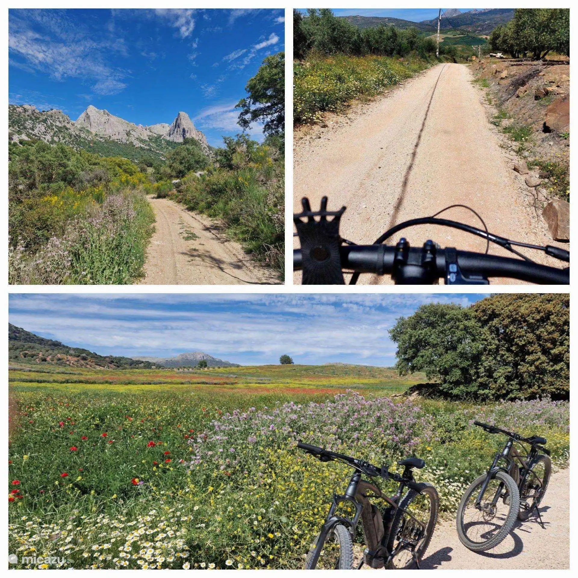Ciclismo, ciclismo o en la bicicleta eléctrica de montaña