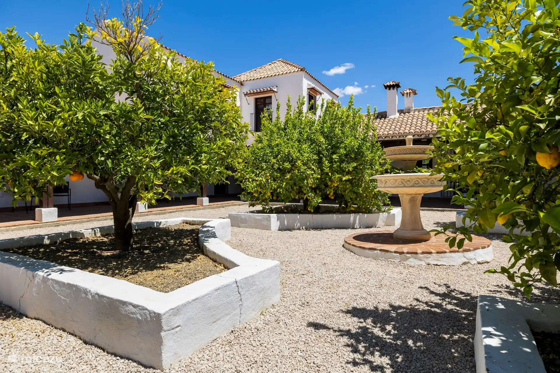 El patio con los naranjos y limoneros