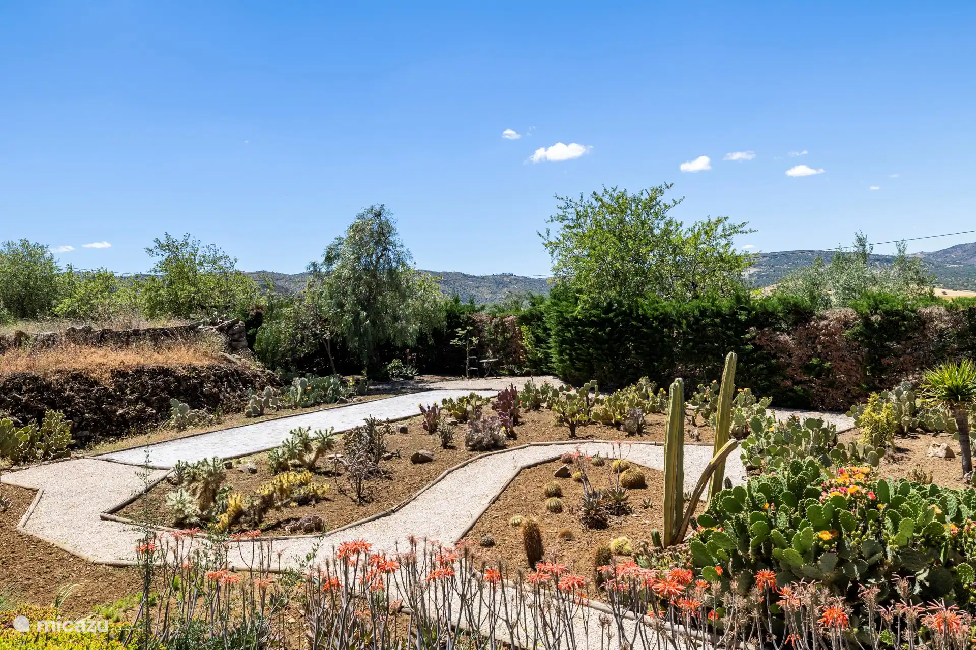 El jardín de cactus