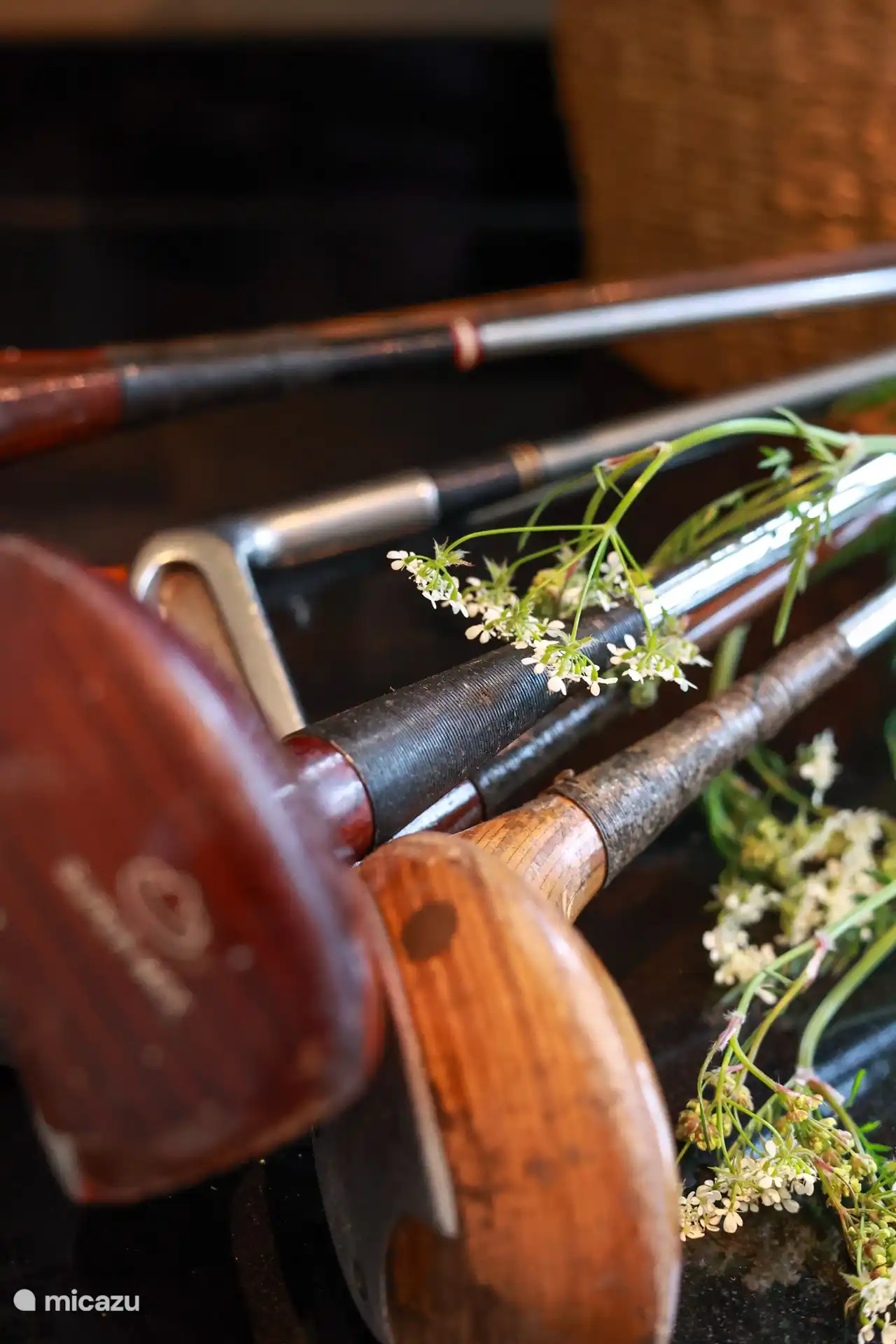 Maison de vacances Landelijk Twente photo d’ambiance