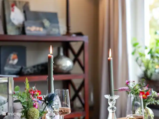 Twente rurale | Pays-Bas, Overijssel, Denekamp - maison de vacances Maison de vacances Landelijk Twente photo d’ambiance