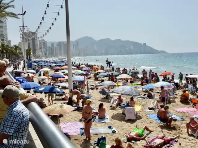 Apartamento Virginia playa Benidorm en España, Costa Blanca, Benidorm - apartamento Playa de Levante