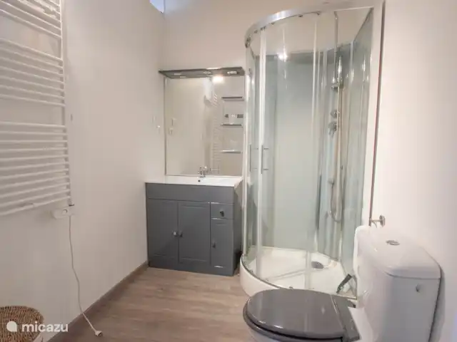 Gite Le Solquirit - vue et piscine | France, Gers, Condom - manoir / château Salle de bain