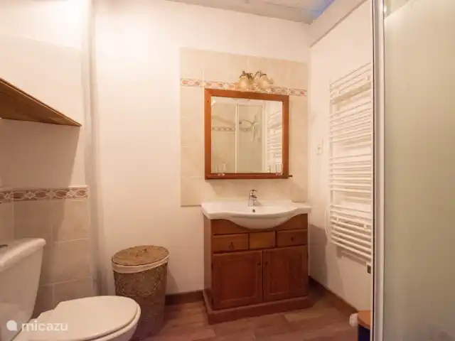 Gite Le Solquirit - vue et piscine | France, Gers, Condom - manoir / château Salle de bain