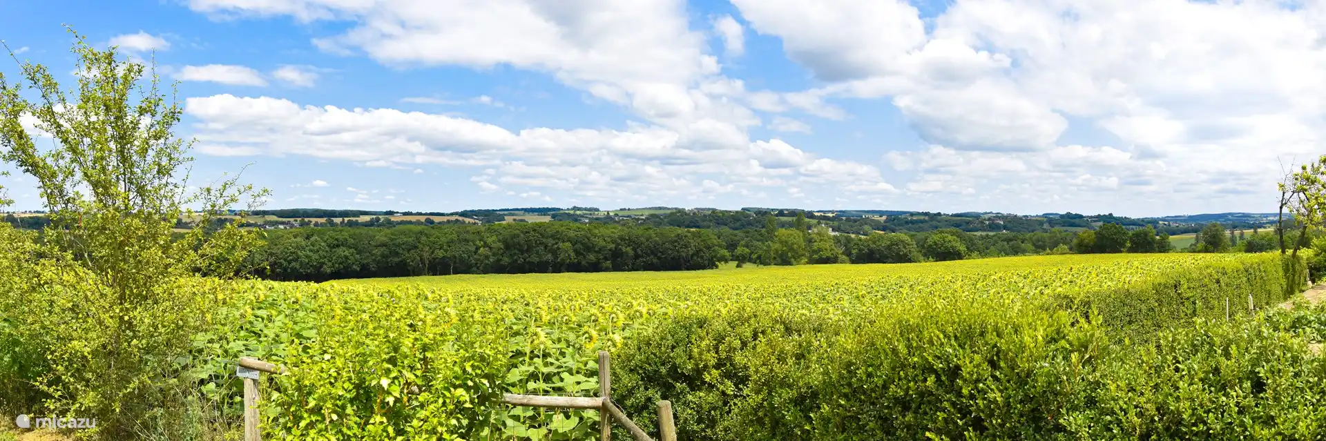 Ein schöner Blick auf das neue Schwimmbad und die schöne Landschaft des Gers mit ihren sanften Hügeln, Mais- oder Sonnenblumenfeldern. In der Ferne sehen Sie 2 Schlösser und die Silhouette von La Romieu, einem der schönsten Dörfer im Gers.
