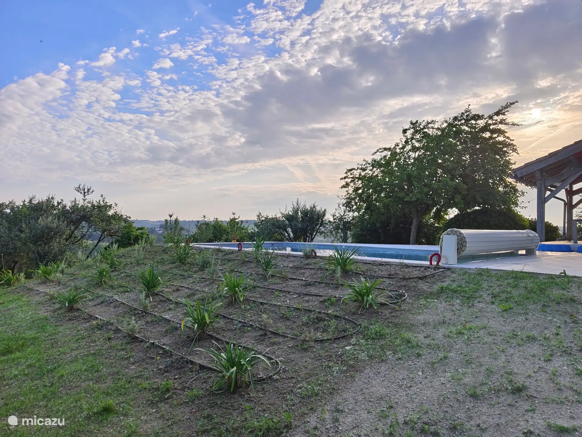 Garden and swimming pool