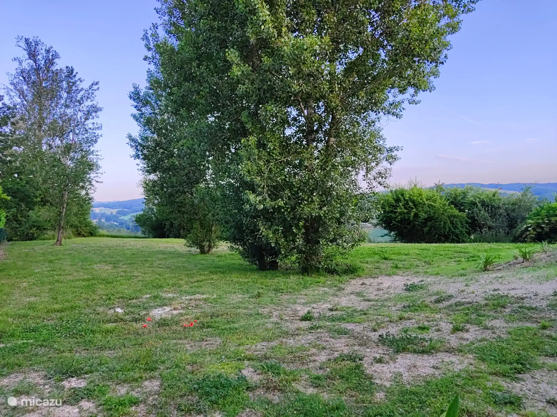 View from the garden