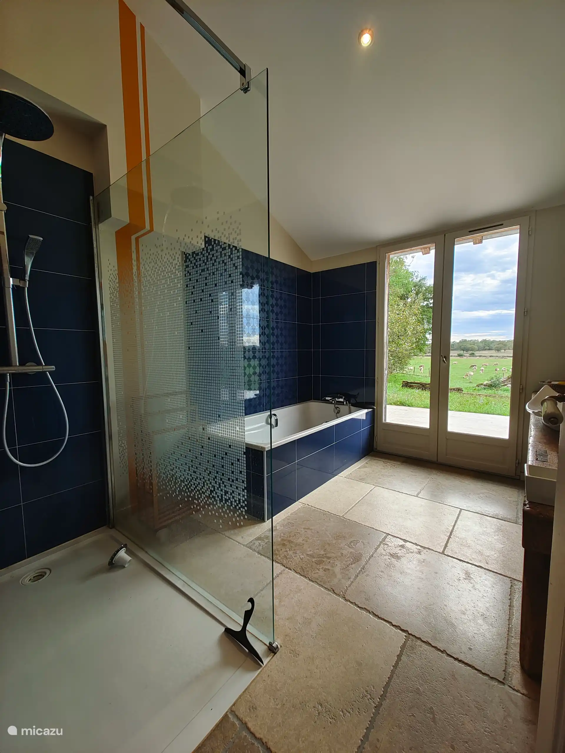 Badkamer met bad, douche en wastafel