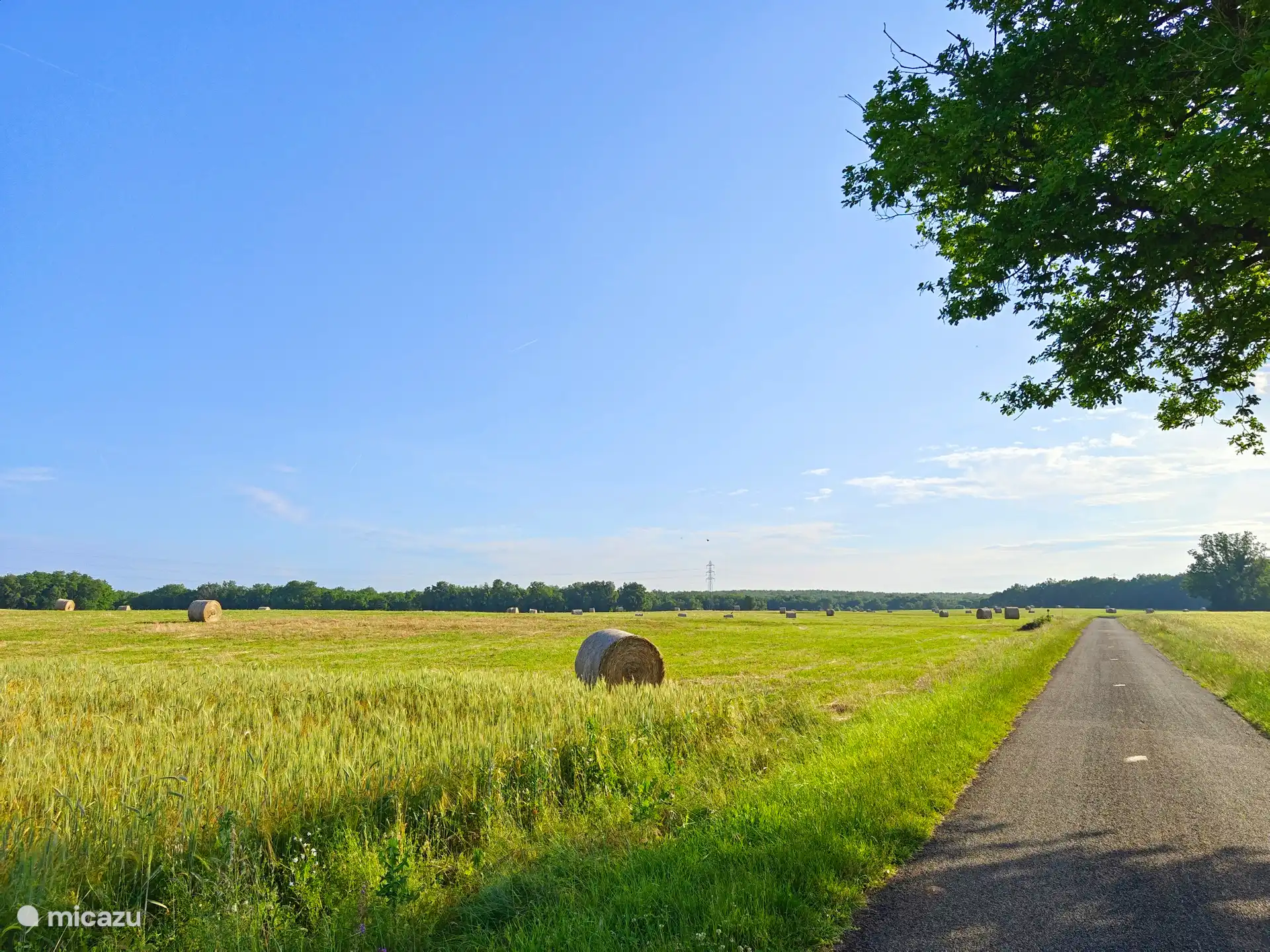 Uitzicht vanaf het veld