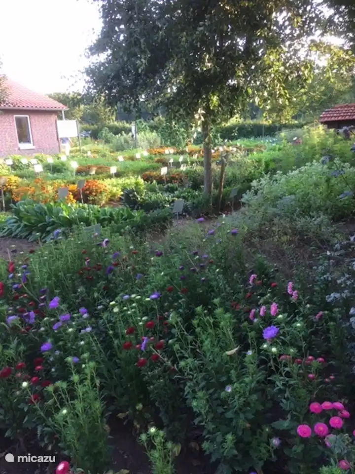 Luxus-Ferienhaus 8 Personen