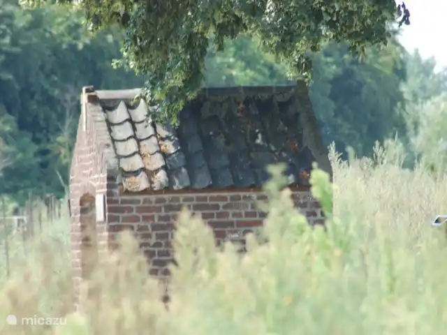 Maison de vacances avec vue imprenable | Pays-Bas, Limbourg, Reuver - maison de vacances Maison de vacances spacieuse de luxe 8 personnes